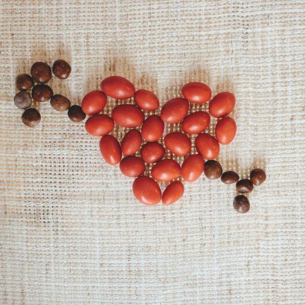 Handmade Italian chocolate