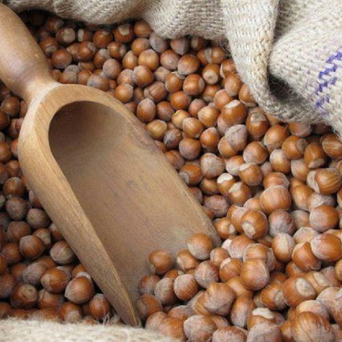 Nocciole-hazelnuts-from-Piedmont-IGP-lavolio-ingredients nuts chocolate origin london confectionery luxury