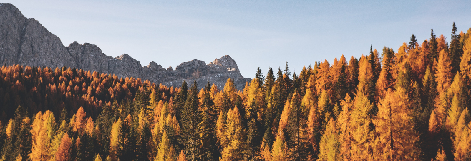 Savour the Season: Italian Autumn Recipes to Delight Your Palate