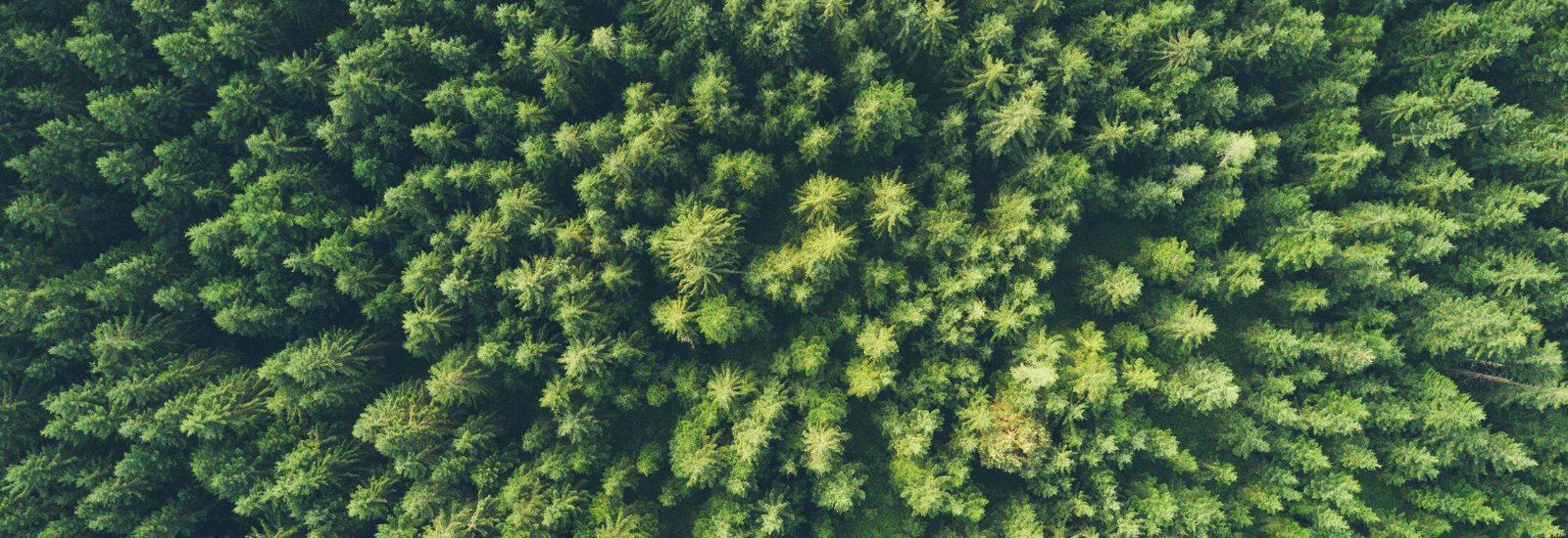 It's time for Nature