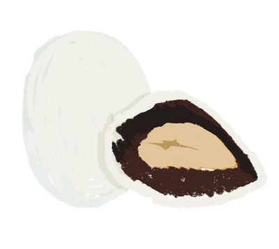 Almond Gianduja Chocolate 