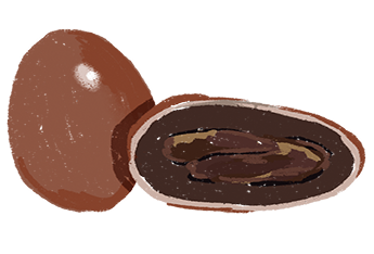 Criollo Cacao Beans 