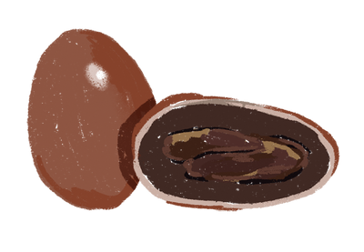 Criollo Cacao Beans 
